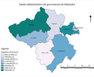 société demenagement mannouba